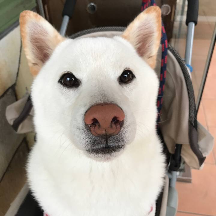 9157bd26 7c7c 462c 8d5f 058e69d91880 1510097718909