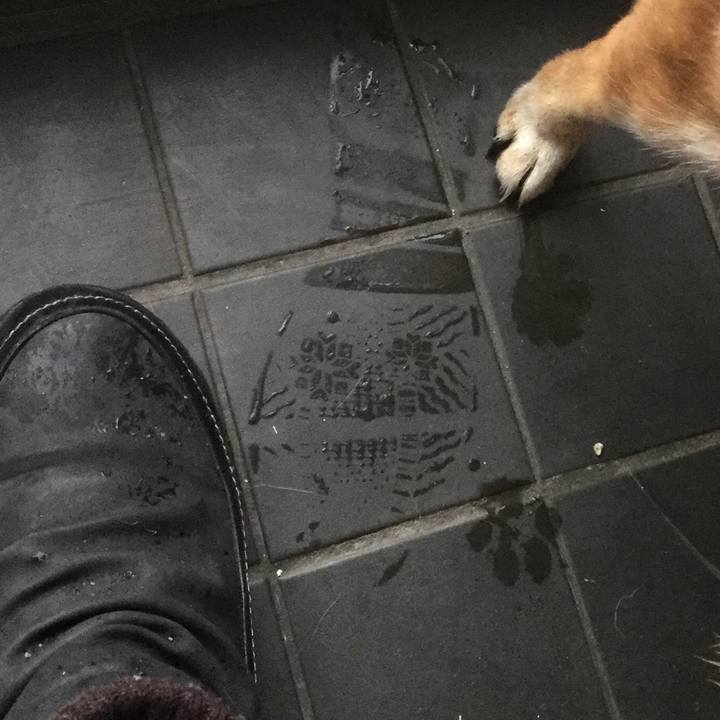 9157e734 fcb5 4463 aa96 9a27926f5c01 1579754436439