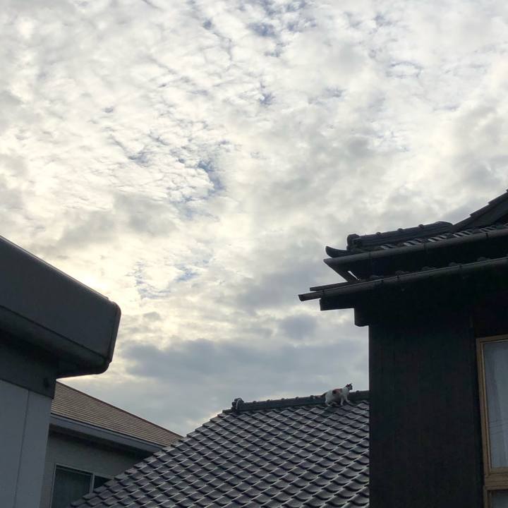 9157ef33 5b57 492e adc3 e7d25a23732f 1630880861852