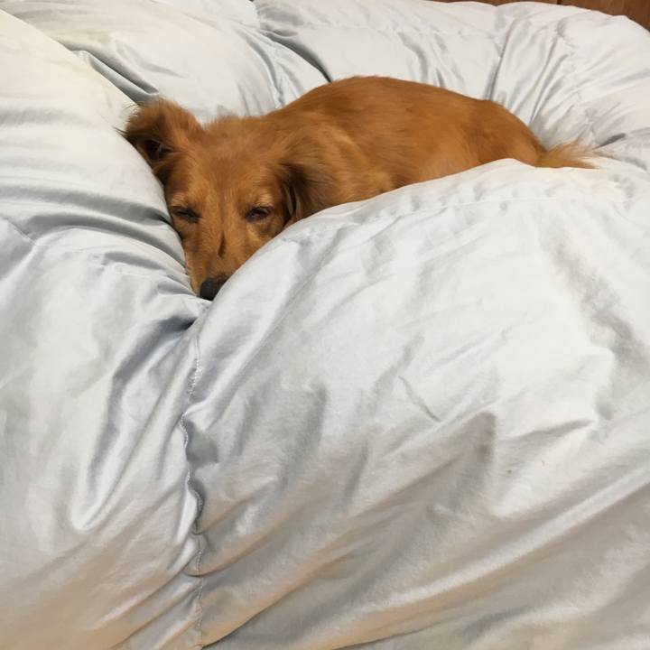 91580d28 8835 40e5 9539 af8269c4f048 1540477861570