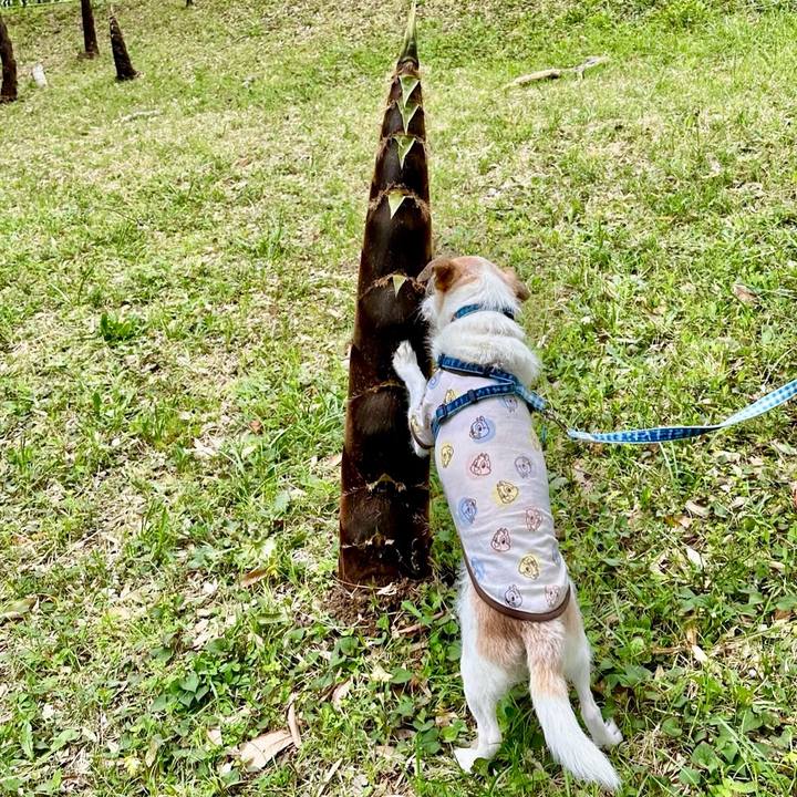 91582252 05f2 4cb1 8641 c8bc06b51944 1713693606195