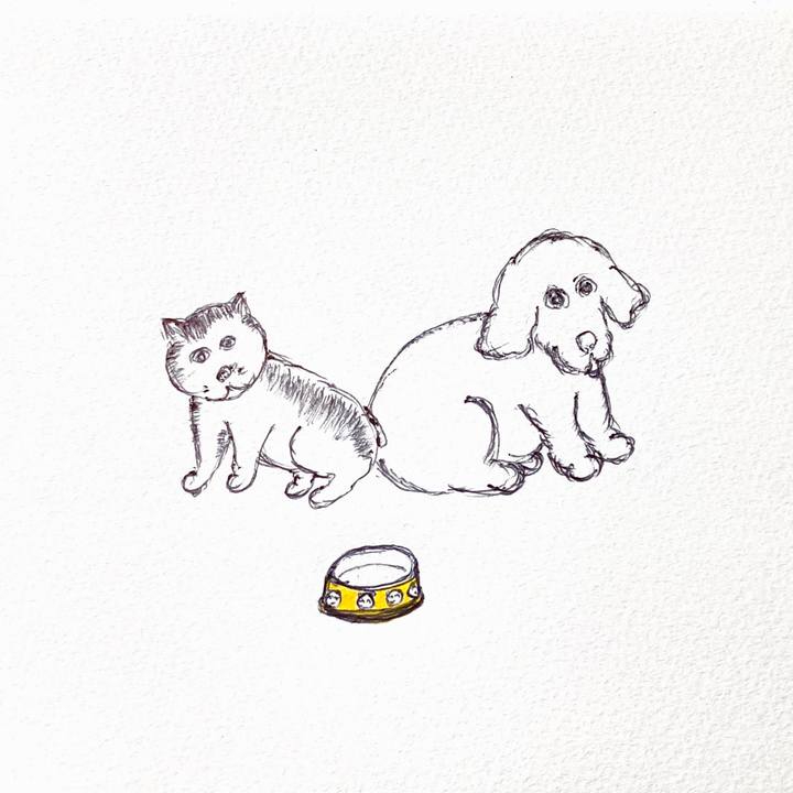 9158289f 41c3 4ef2 8f81 000765566a02 1604745930476