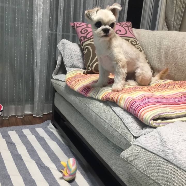 91583242 745b 42d9 9191 801e7520fa44 1538652872011