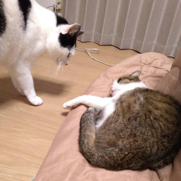 91584fdd 3f86 4dc2 ad75 9d950331395f 1523788580954