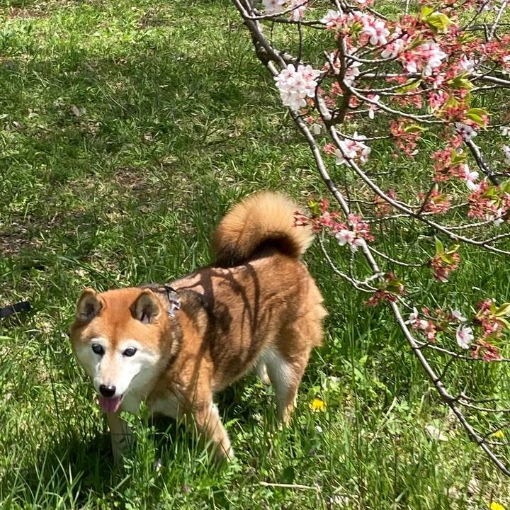 9158915c fa5e 4898 be44 4c3a0657ce74 1713344029745