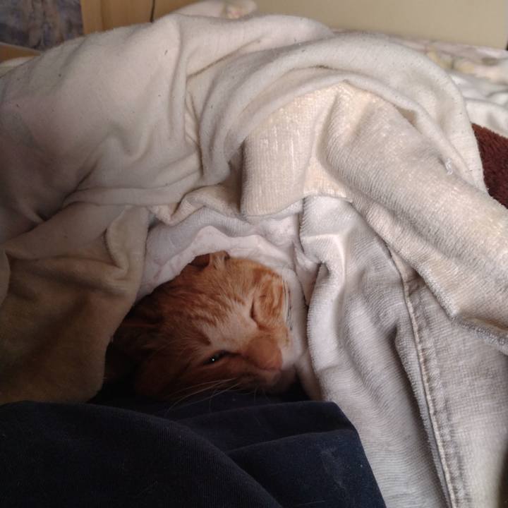 91589f0a a5f7 4140 8019 21d541c2da30 1714337747135