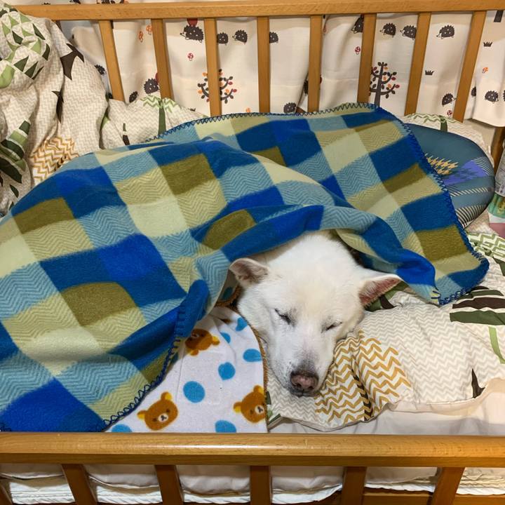 9158b127 e863 4d6c 84dd 0b670db22cad 1575375697652