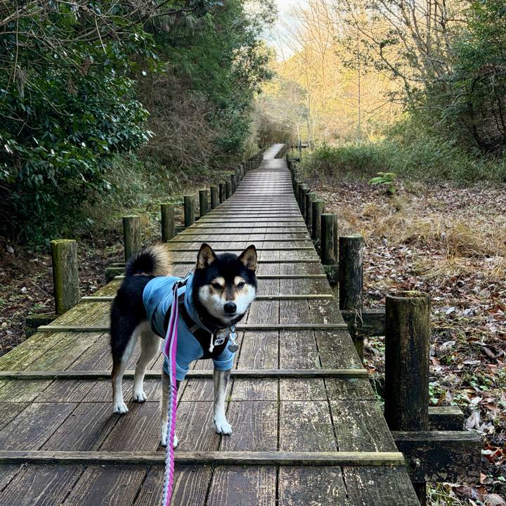 9158b682 1e27 46c5 ac9c 5c9f3cff165d 1766935813700