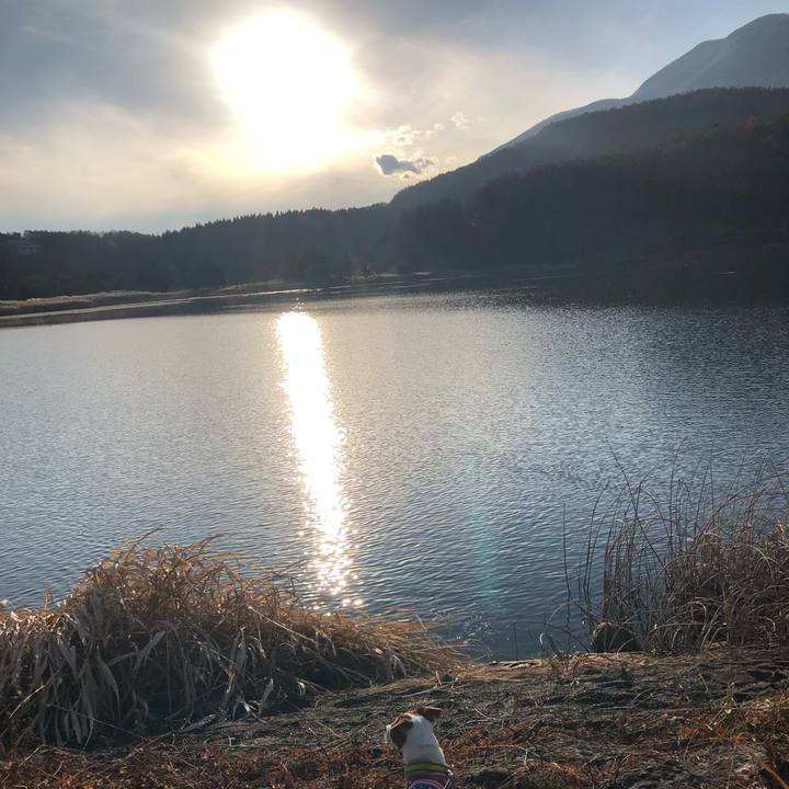 9158b75f 47b1 490b 8d07 9c5881f4d575 1543143601635