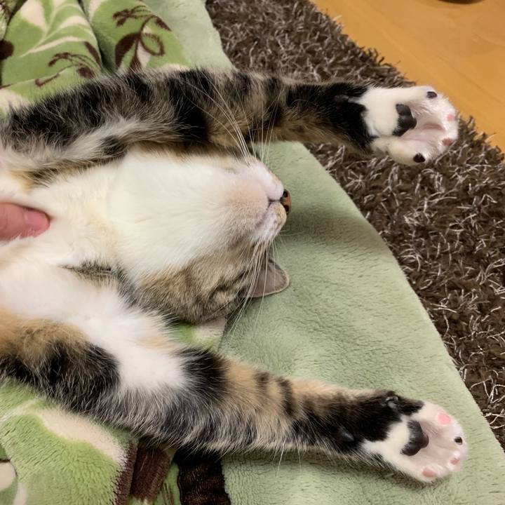 9158c104 f289 4928 b63b 55a7a37809c4 1547688743203