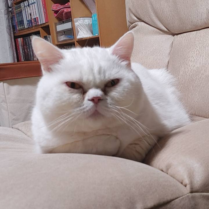 9158f47e 5144 46bb a760 b3bae8ebe639 1671967003408