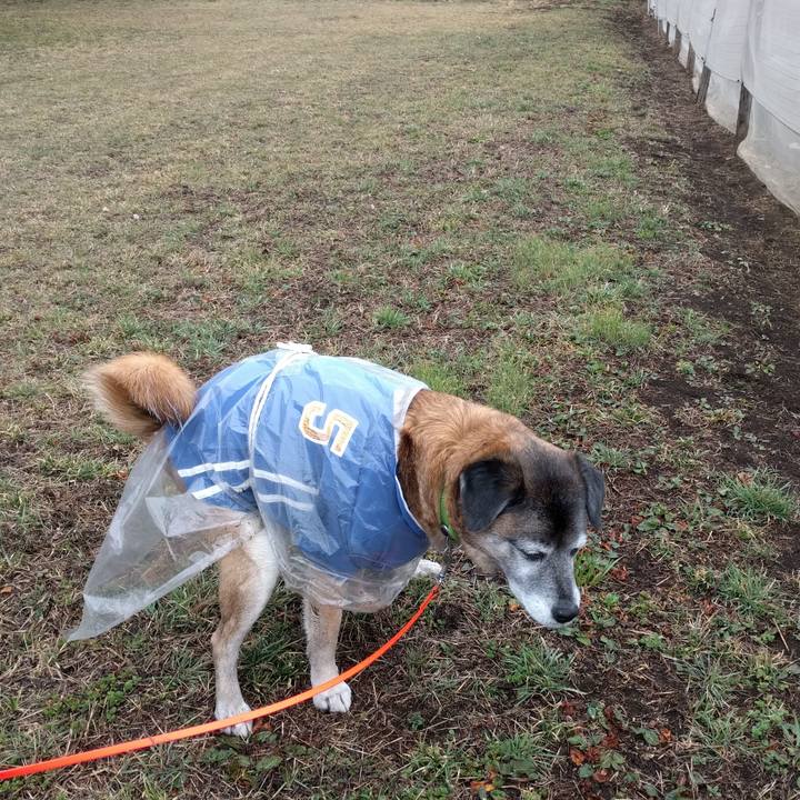 91592f3a 3e1e 4a22 873f f686942f00e7 1551312198555