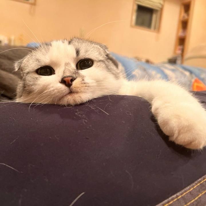 9159459e 24d6 4ec8 b7c4 500d2309f6d9 1666753327732