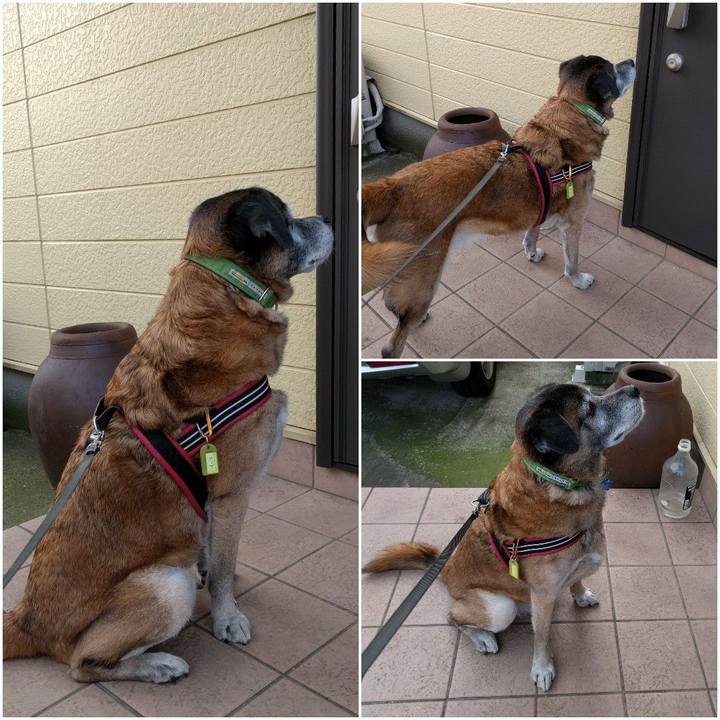 915947d4 fb80 4152 a571 7542d0049e63 1545439185868