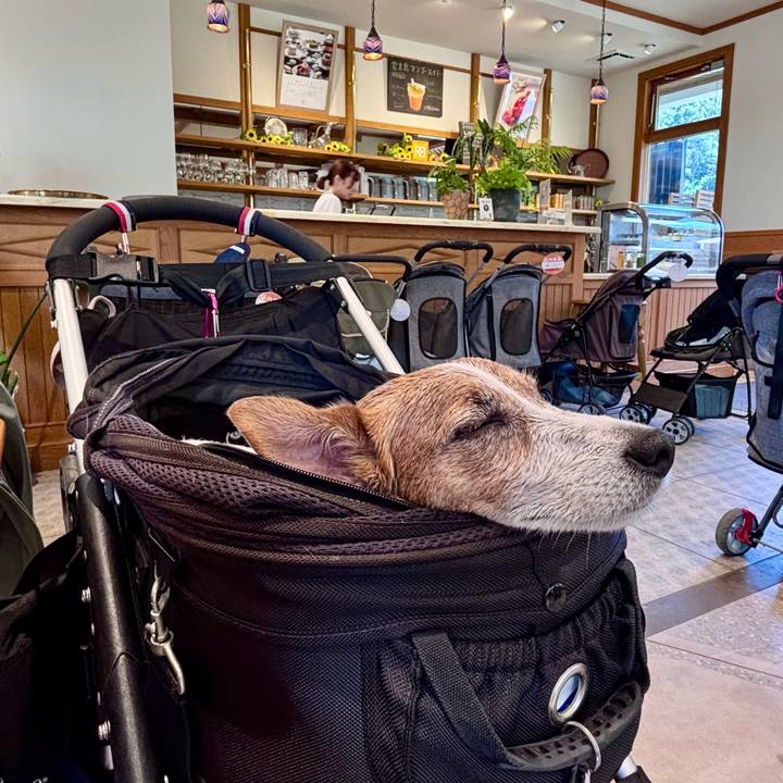 9159562a ff78 416e be09 7ff7d08b2626 1756630102333