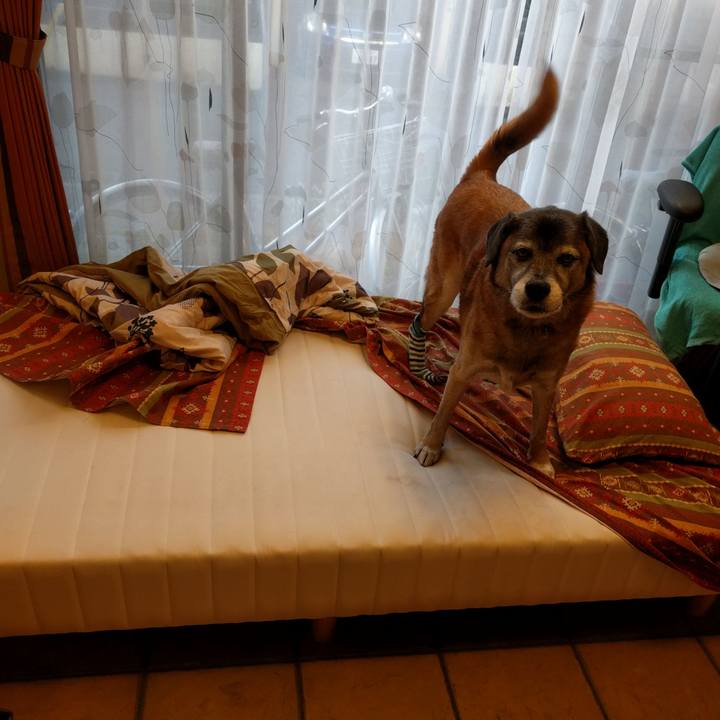 9159a4eb 4547 4b78 88a1 c6a4474fca51 1543542642574