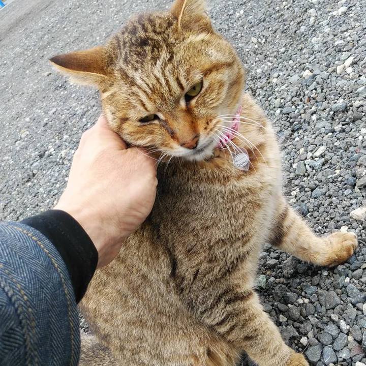 9159d419 859d 4589 9e5e 630e8e393ba2 1590105387954