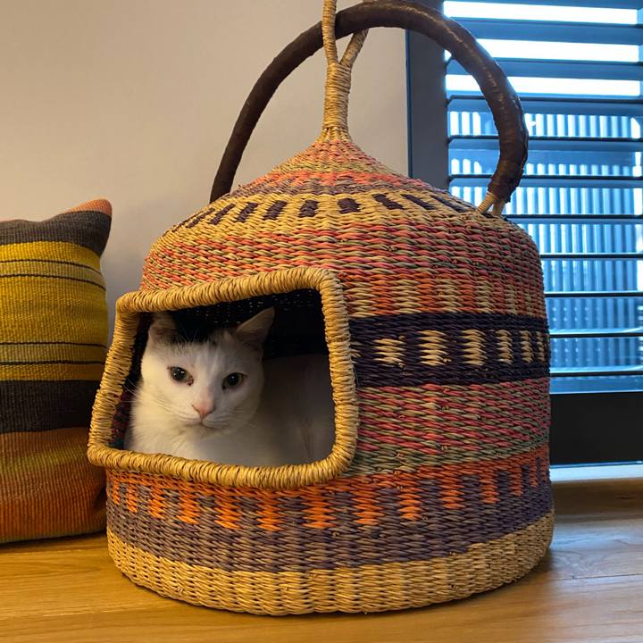 9159e616 13db 47a2 b7ae 0386be40d249 1738498658279