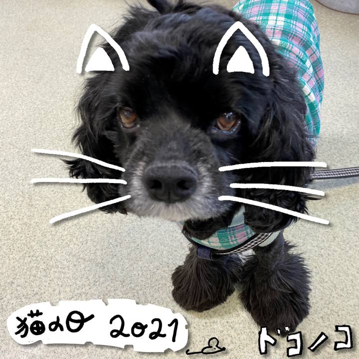 9159f975 8fb1 4336 9629 f83de8266420 1613986475394