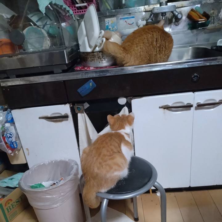 915a1947 c0e6 4088 98a0 62e3437f1f22 1733352745365