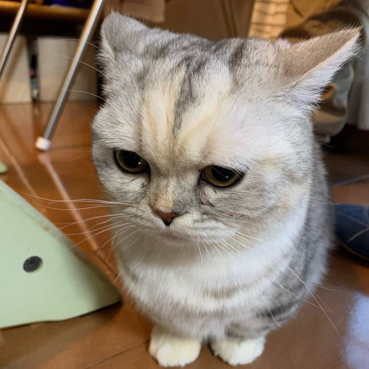 915a265a 92d0 44cf b8d0 8eb12eea1313 1706824757536