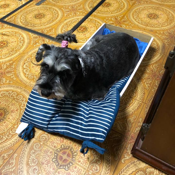 915a2b4c 9756 40df a6a0 23009e60f484 1633839465927