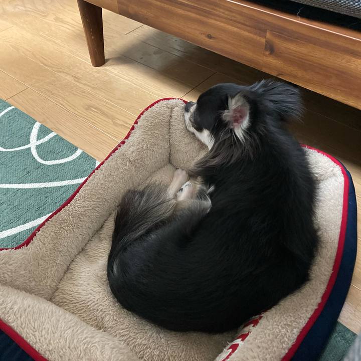 915a3845 0d2b 4795 af48 41b51eb066ac 1636900430943