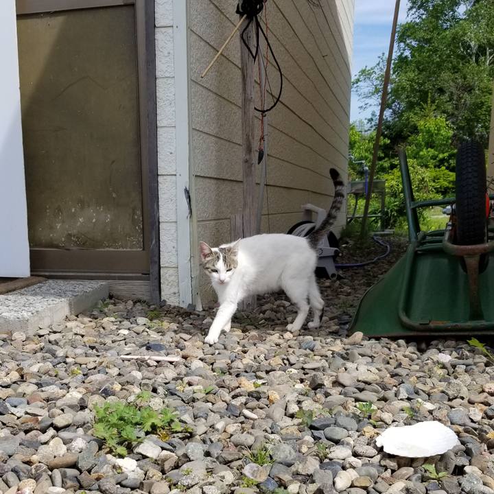 915a3951 81c0 4a55 961d 6e75af47c8e5 1623024228698