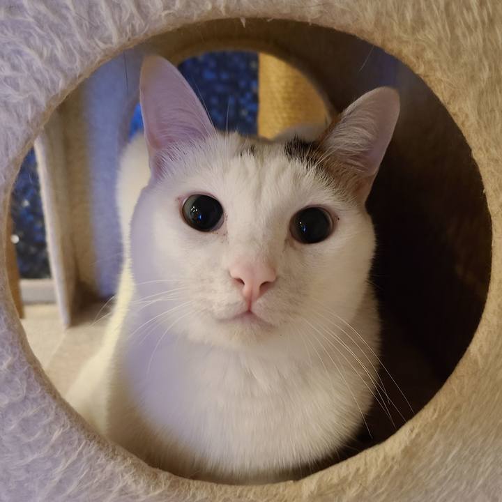 915a6b36 504b 4ddd 8008 4b61152ecad8 1632449574798