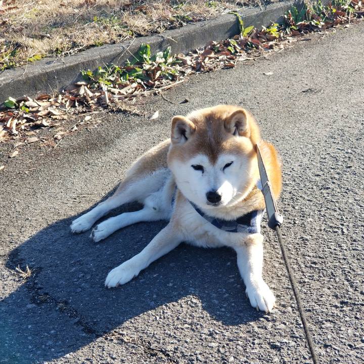 915a74e2 1653 43f4 8e6d 7a8ff08d6cea 1670563741982