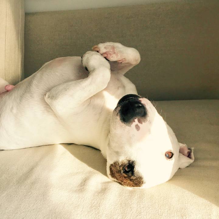 915a99eb 7545 4354 b107 bab6cb7043a1 1512954492672