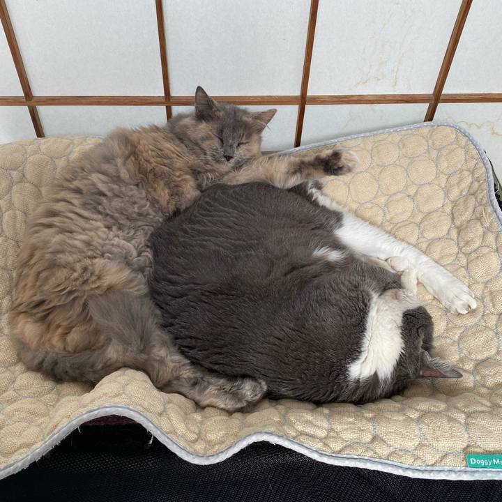 915b1c01 cc7b 4c40 9cb9 5e4c95ad002b 1760255546852