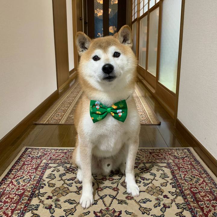 915b2a16 d34a 40d1 9fc8 9d49b99a580f 1671965393838