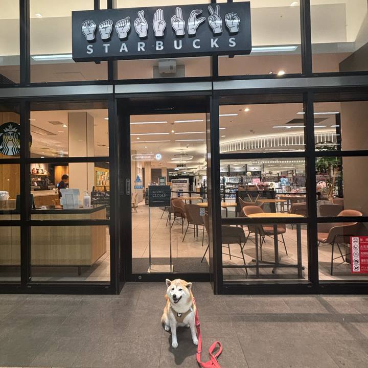 915b4172 6a3d 4ecb afb0 59a970bc808e 1746908912671