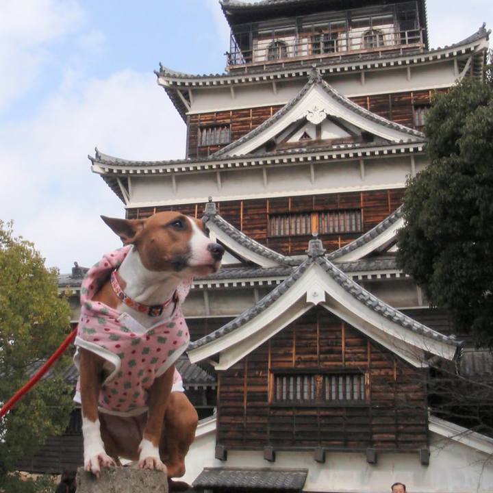 915b450d 9aae 4f91 8e6f cad2c7a10901 1764136133787