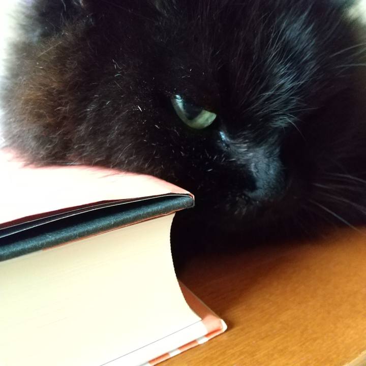 915b731f c9bb 4bc9 8731 9ec0cea2e6a8 1625786120308