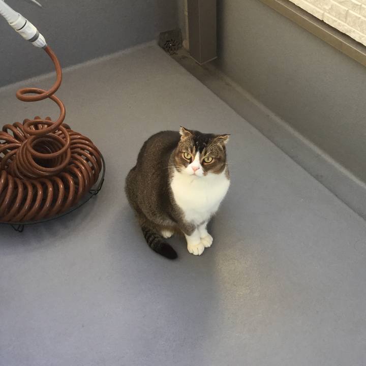 915b7df7 529b 4f6b b274 f380eefb5928 1547338314649