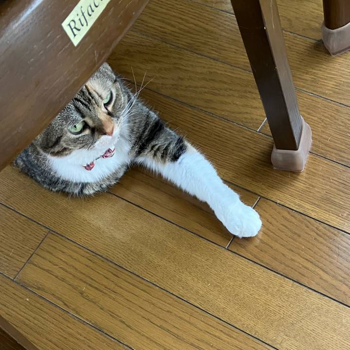 915b8b63 b46b 4e2a 99e9 1cdec934d732 1766890126585