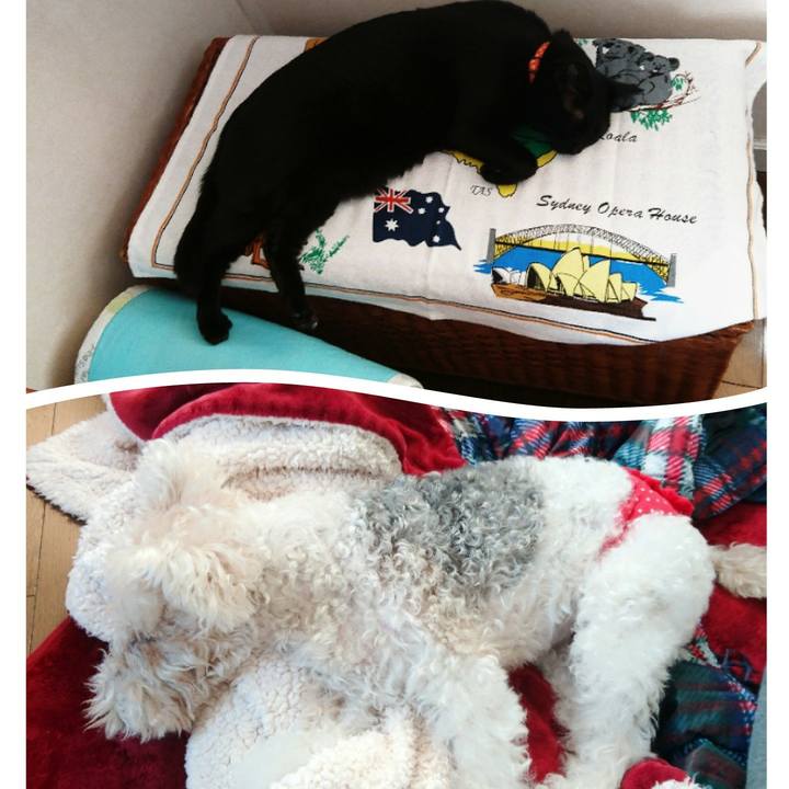 915bab01 5644 40f5 9652 9ac66691eab9 1520146739961