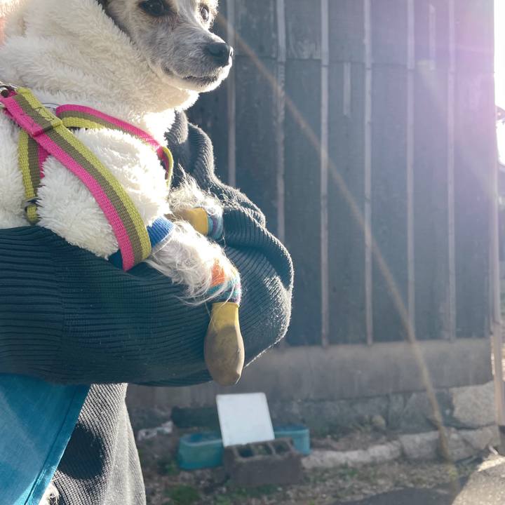 915bc387 a801 43b6 a734 0fe7c0cbf971 1764835005348