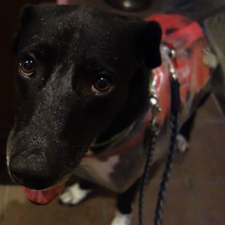 915bc47e cf73 4147 8079 c3a73ce8aac3 1625134811513