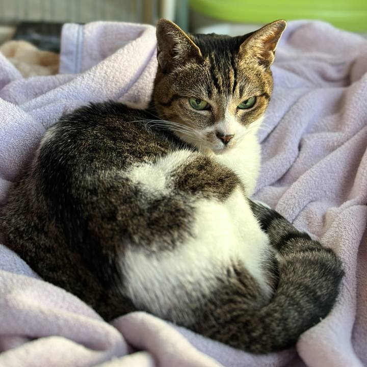 915c53c4 7108 4e33 975b 8db1ae25c1fb 1679536291287