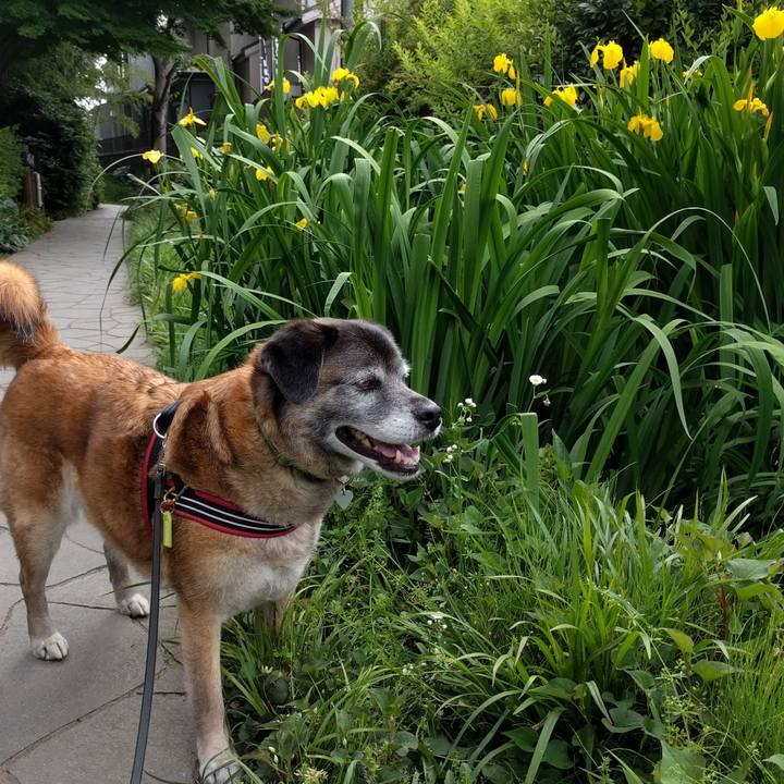 915c607d 5e95 4724 bf00 f23eadd71521 1525222789149