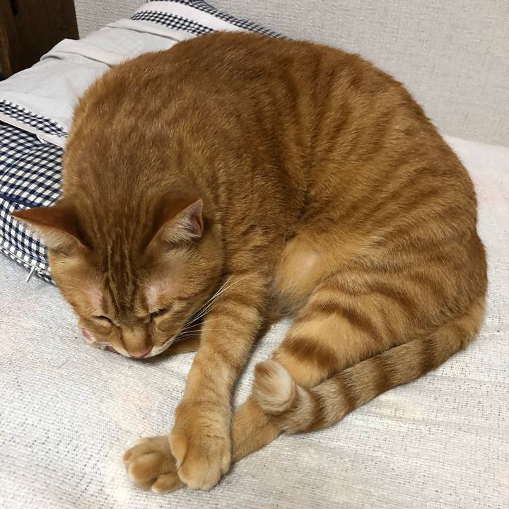 915c73be 7921 45a2 a140 f53a7d9a8918 1609082238957