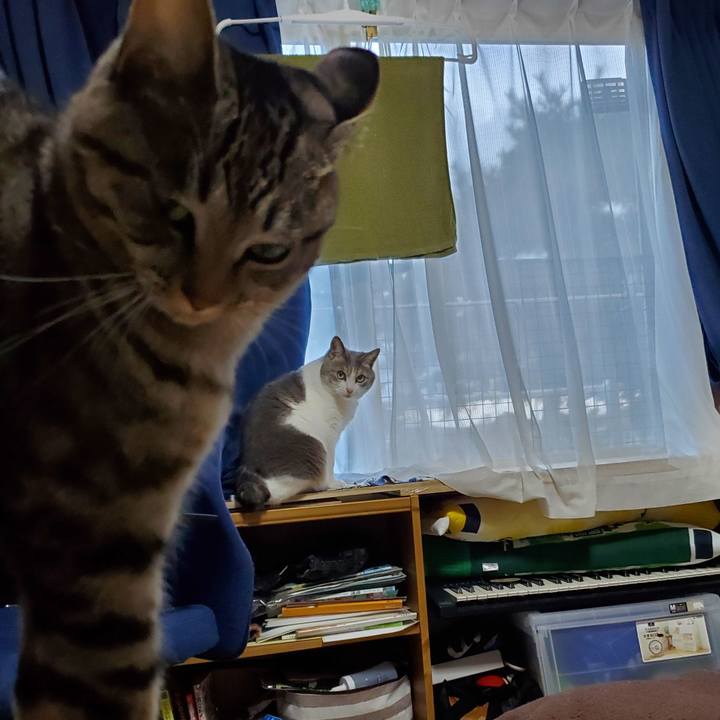 915c9043 e6c4 423f a6b6 c9f6fd3e4798 1697991969574