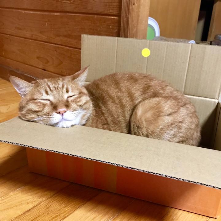 915ccd45 b5e9 4782 a060 496f1b4460b2 1538389906433