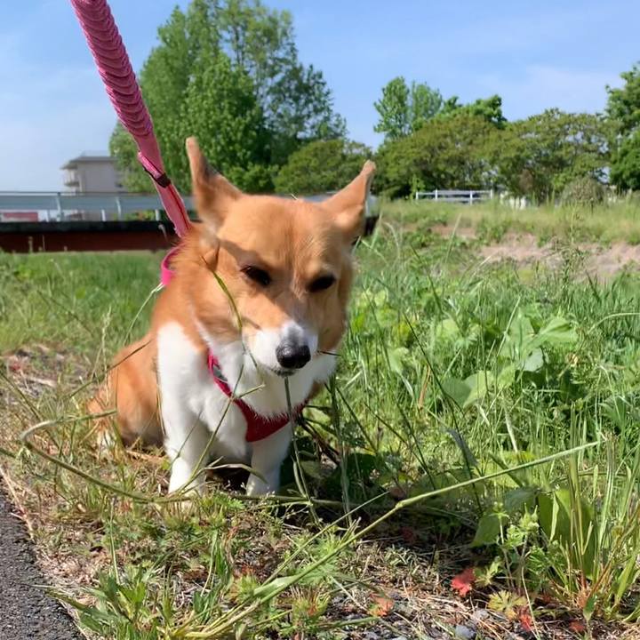 915cddf9 5194 47d1 99d5 50d074bc4d9d 1683594164244