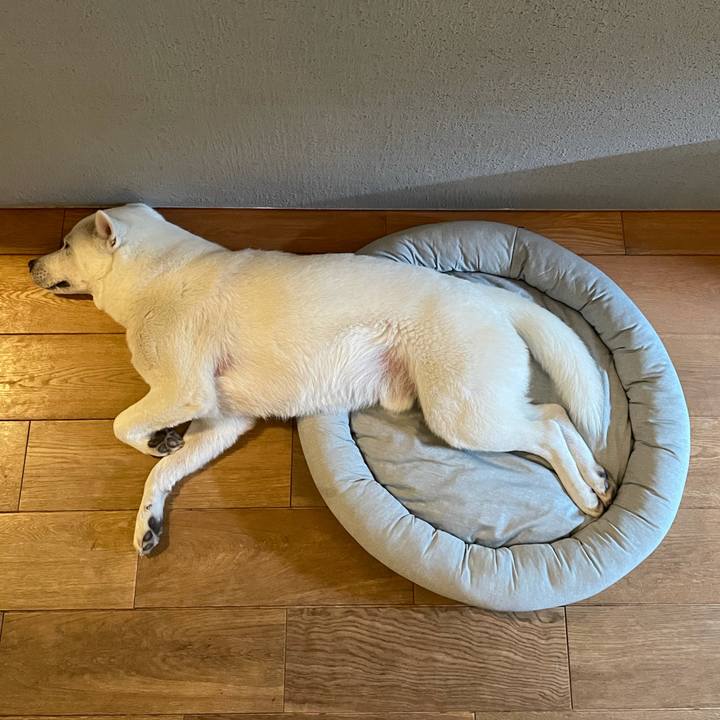 915cecaa 7974 421d bb07 bc9a775b7df1 1620998533117