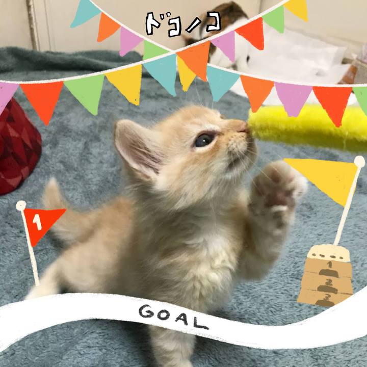 915cf1b6 d647 405f b962 83c373b2714a 1729600746032