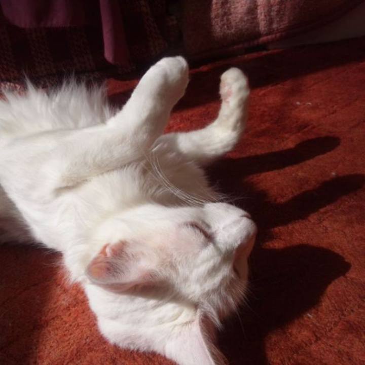 915d1068 a12d 48ca b9f5 adb292f3c61e 1687825870631